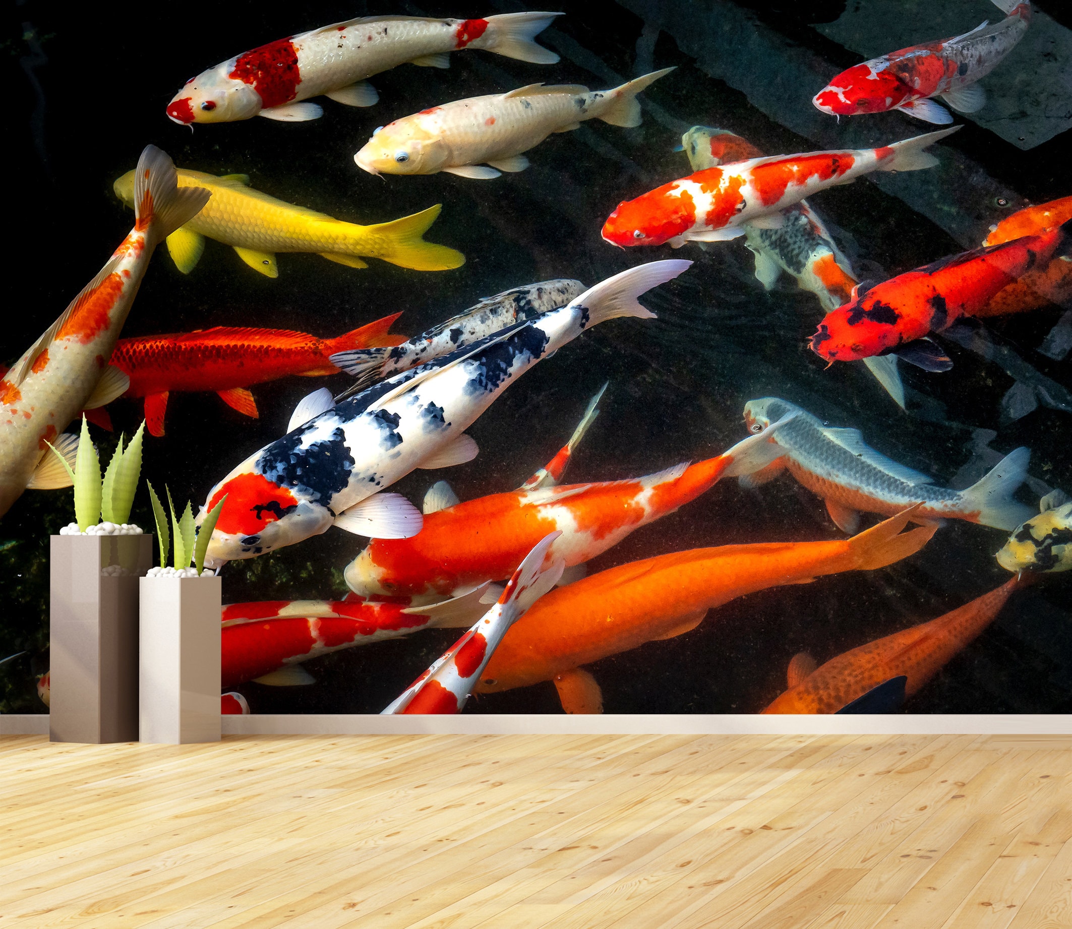 fish wallpaper hd Aquarium fish wallpaper hd 4k