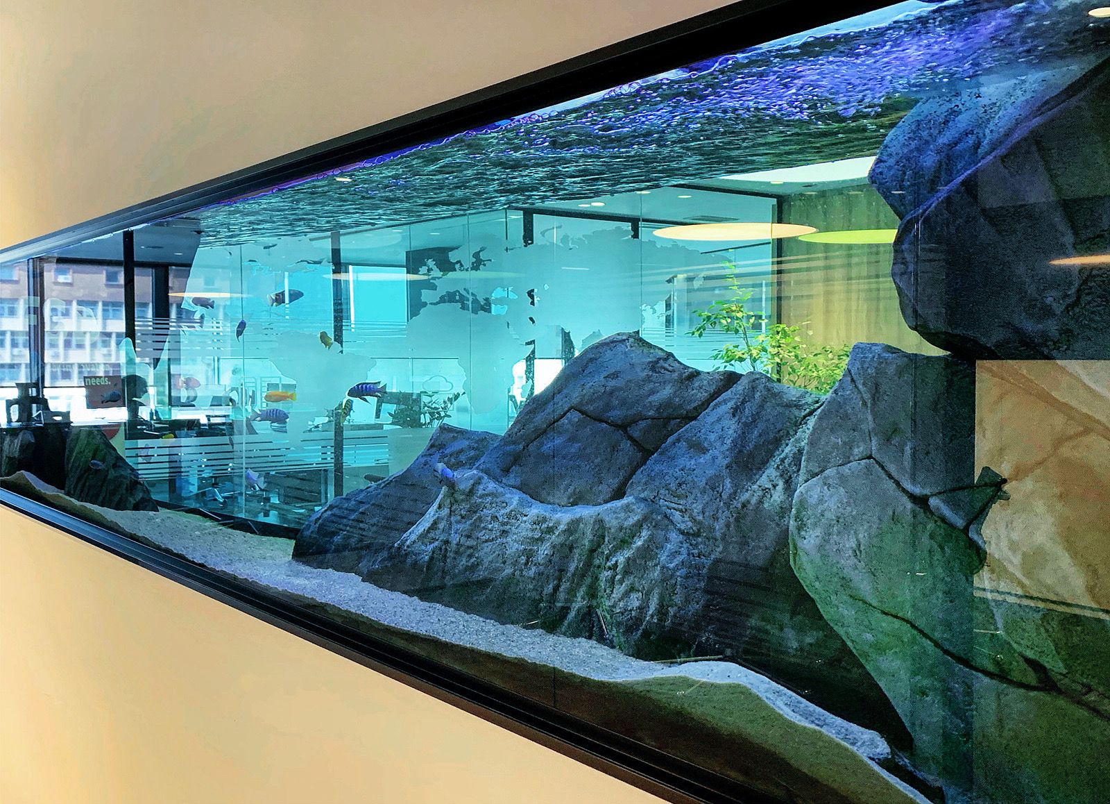 3d aquarium live wallpaper hd 3d aquarium live wallpaper hd apk for android